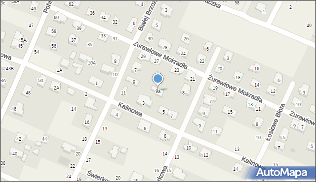 Kwirynów, Białej Brzozy, 9a, mapa Kwirynów