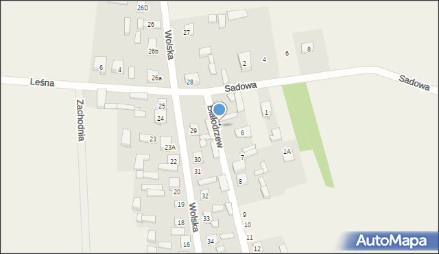 Sulmierzyce, Białodrzew, 5, mapa Sulmierzyce