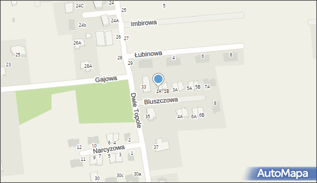 Abramowice Prywatne, Bluszczowa, 1A, mapa Abramowice Prywatne
