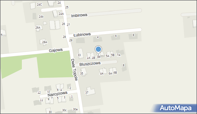 Abramowice Prywatne, Bluszczowa, 3A, mapa Abramowice Prywatne