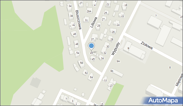 Augustów, Bluszczowa, 43, mapa Augustów