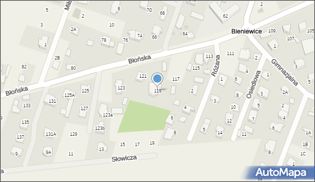 Bieniewice, Błońska, 119, mapa Bieniewice