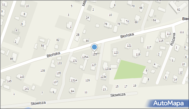 Bieniewice, Błońska, 125, mapa Bieniewice