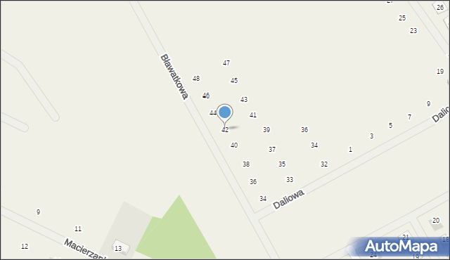 Bolechówko, Bławatkowa, 42, mapa Bolechówko