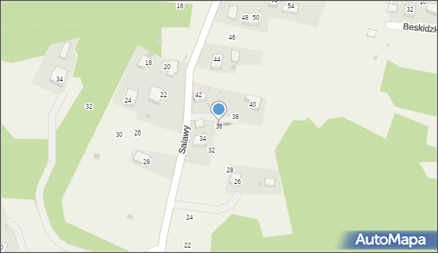 Olszowice, bł. Salawy Anieli, 36, mapa Olszowice