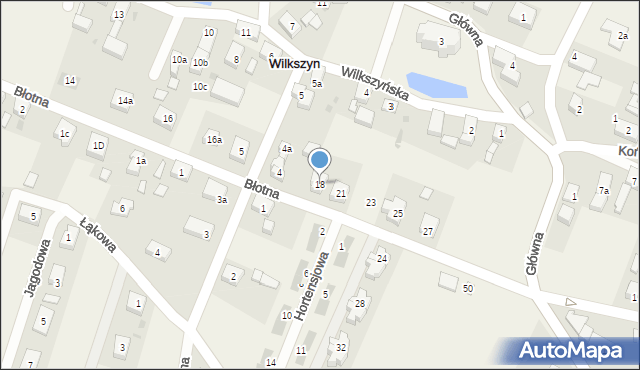 Wilkszyn, Błotna, 18, mapa Wilkszyn