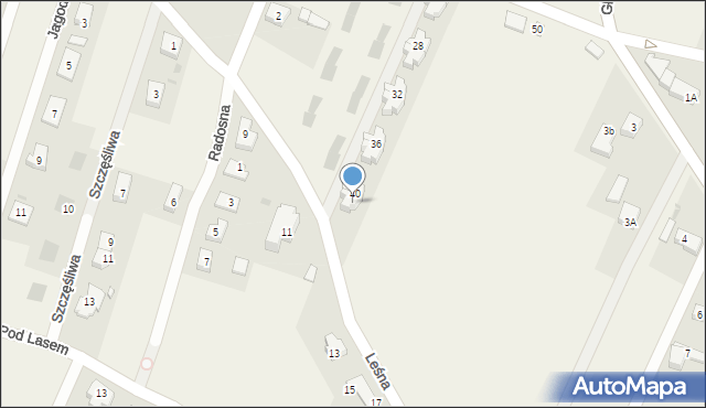 Wilkszyn, Błotna, 42, mapa Wilkszyn