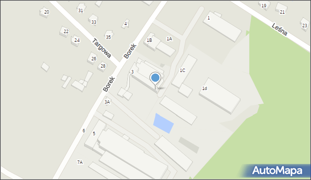 Bieżuń, Borek, 36a, mapa Bieżuń