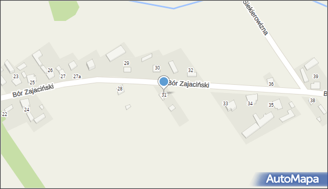 Bór Zajaciński, Bór Zajaciński, 31, mapa Bór Zajaciński