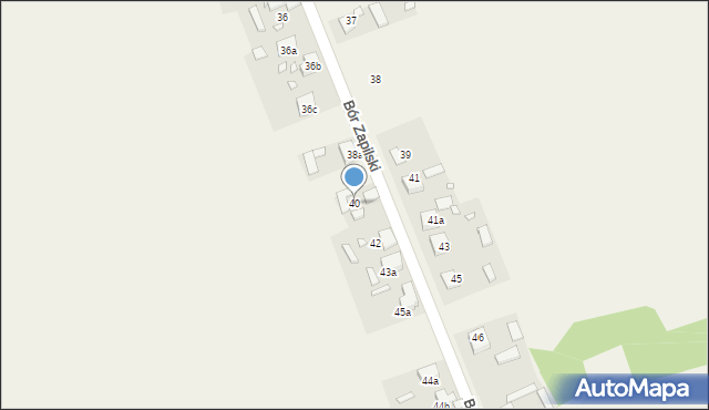 Bór Zapilski, Bór Zapilski, 40, mapa Bór Zapilski