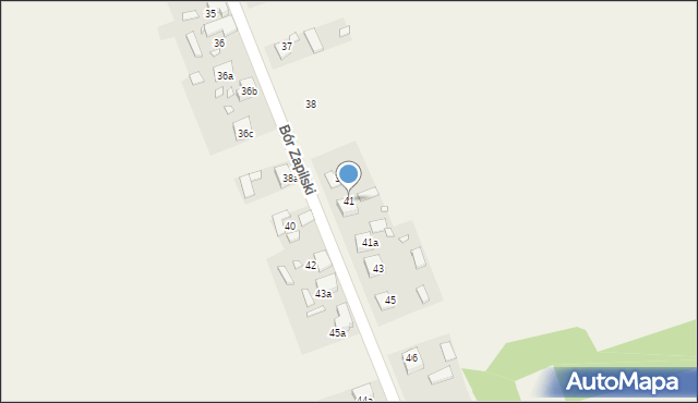 Bór Zapilski, Bór Zapilski, 41, mapa Bór Zapilski