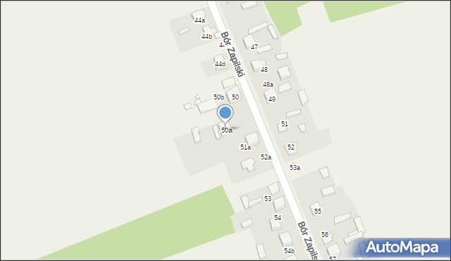 Bór Zapilski, Bór Zapilski, 50a, mapa Bór Zapilski