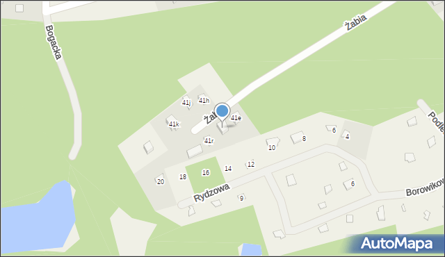 Borki, Borki, 41p, mapa Borki