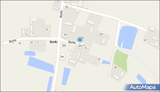 Borki, Borki, 40, mapa Borki