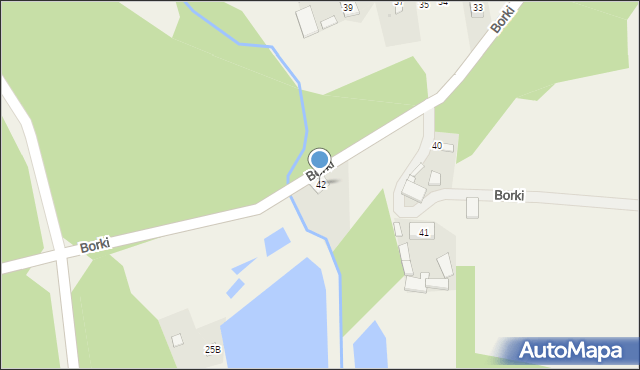 Borki, Borki, 42, mapa Borki