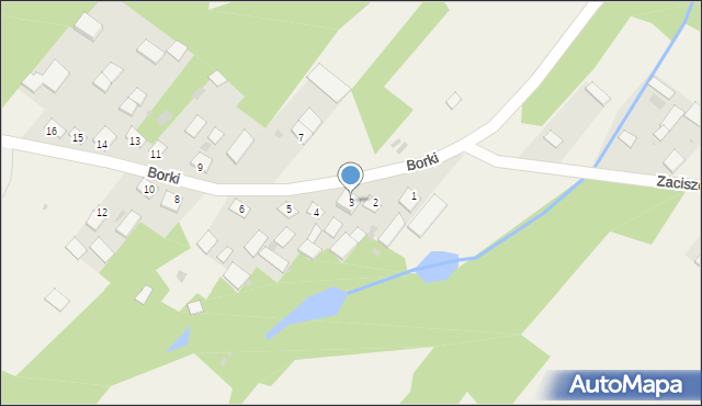 Borki, Borki, 3, mapa Borki