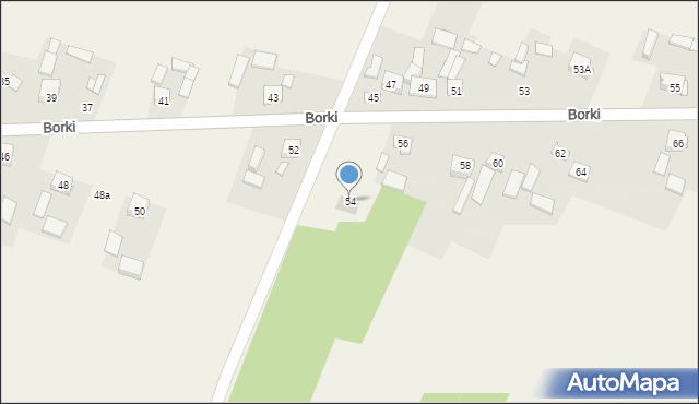 Borki, Borki, 54, mapa Borki