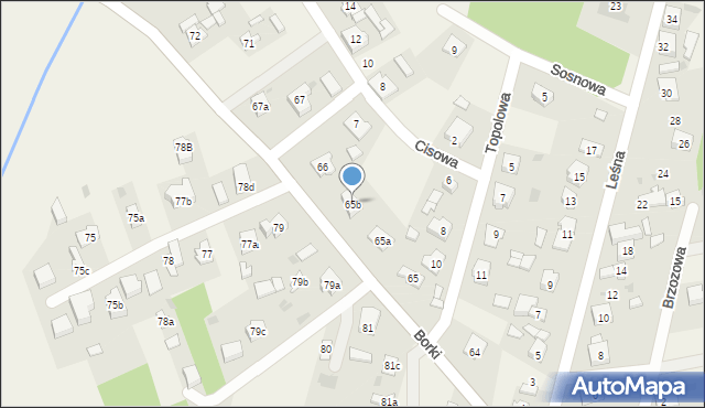 Borki, Borki, 65b, mapa Borki