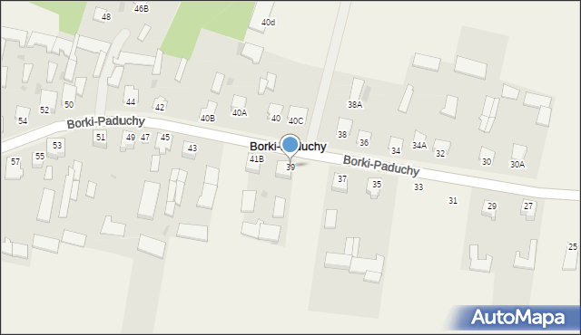 Borki-Paduchy, Borki-Paduchy, 39, mapa Borki-Paduchy