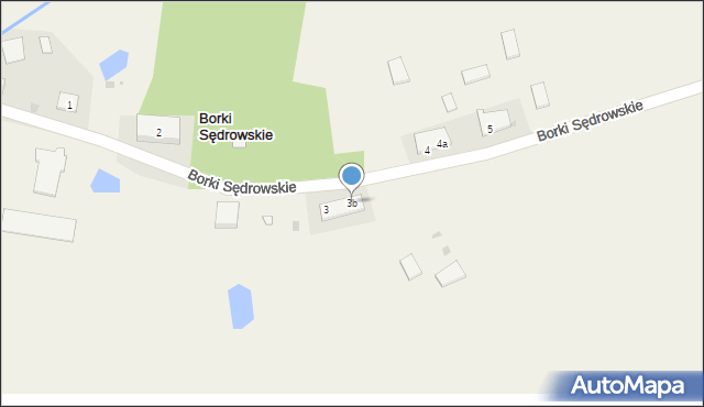 Borki Sędrowskie, Borki Sędrowskie, 3b, mapa Borki Sędrowskie