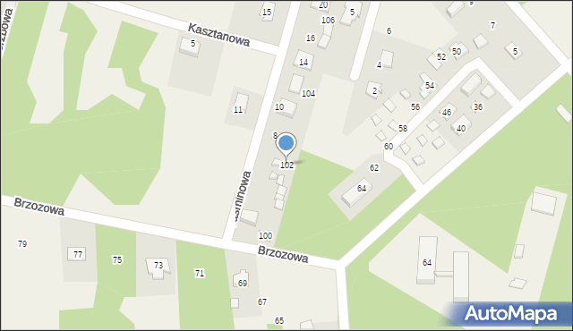 Borków, Borków, 102, mapa Borków