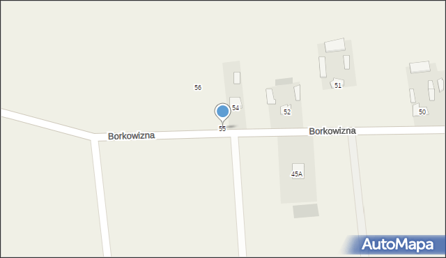 Borkowizna, Borkowizna, 55, mapa Borkowizna