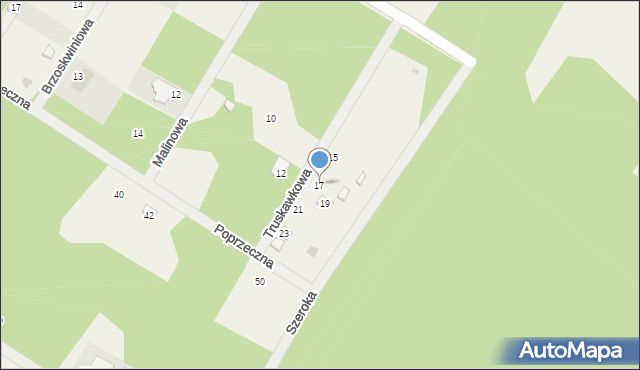 Borowa, Borowa, 17, mapa Borowa