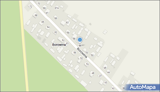 Borowina, Borowina, 55, mapa Borowina