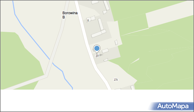 Borowina, Borowina, 10, mapa Borowina