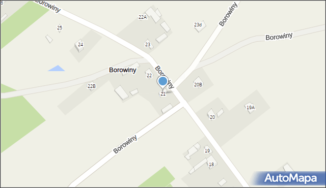 Borowiny, Borowiny, 21, mapa Borowiny