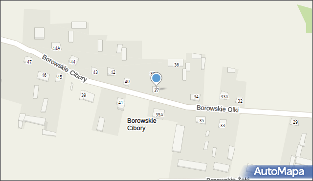 Borowskie Cibory, Borowskie Cibory, 37, mapa Borowskie Cibory
