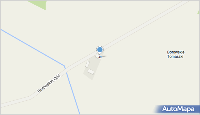 Borowskie Olki, Borowskie Olki, 49, mapa Borowskie Olki
