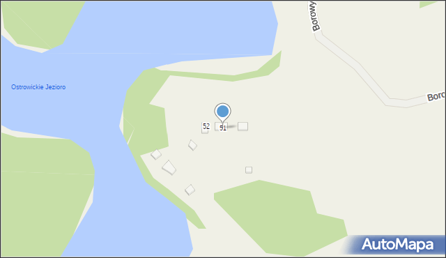 Borowy Las, Borowy Las, 51, mapa Borowy Las