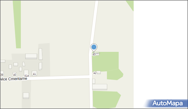 Borszewice Cmentarne, Borszewice Cmentarne, 43, mapa Borszewice Cmentarne