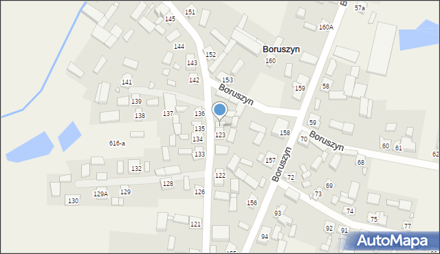 Boruszyn, Boruszyn, 124, mapa Boruszyn