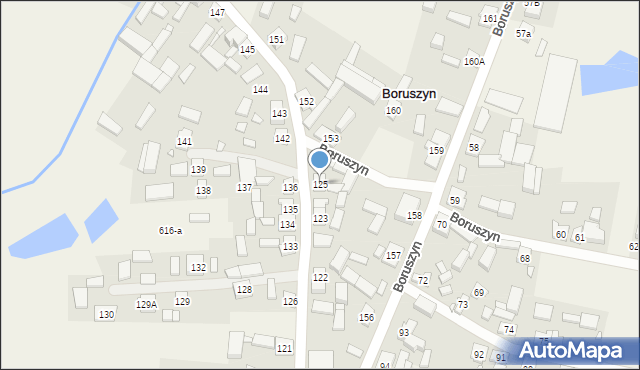 Boruszyn, Boruszyn, 125, mapa Boruszyn