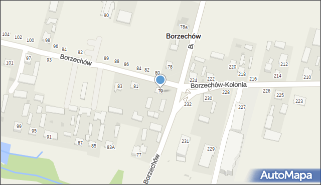 Borzechów, Borzechów, 79, mapa Borzechów