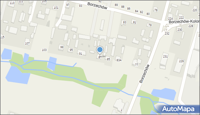 Borzechów, Borzechów, 87, mapa Borzechów