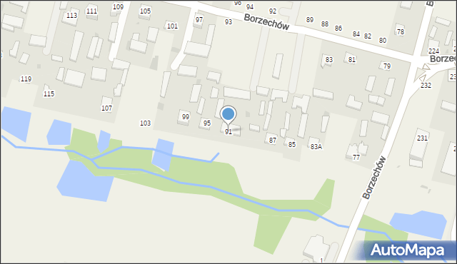 Borzechów, Borzechów, 91, mapa Borzechów