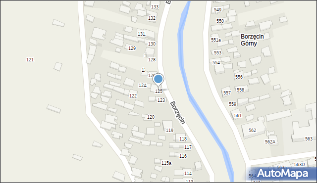 Borzęcin, Borzęcin, 125, mapa Borzęcin