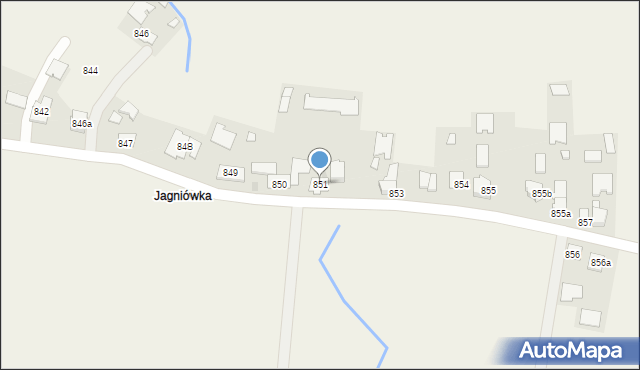 Borzęcin, Borzęcin, 851, mapa Borzęcin