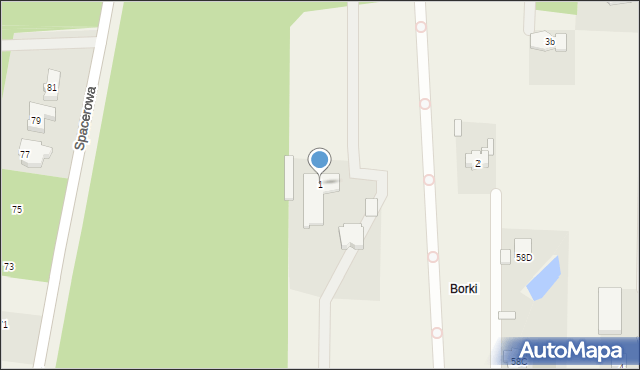 Borzęcin Duży, Borowa Droga, 1, mapa Borzęcin Duży