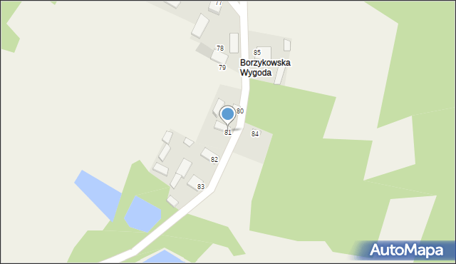 Borzykowa, Borzykowa, 81, mapa Borzykowa
