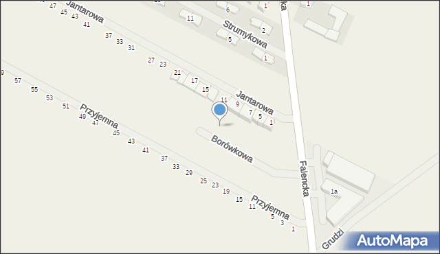Falenty Duże, Borówkowa, 10, mapa Falenty Duże