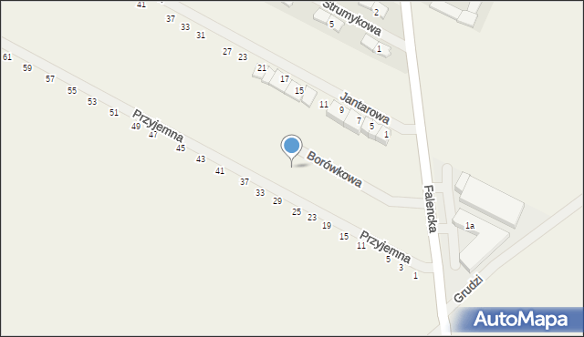 Falenty Duże, Borówkowa, 11, mapa Falenty Duże