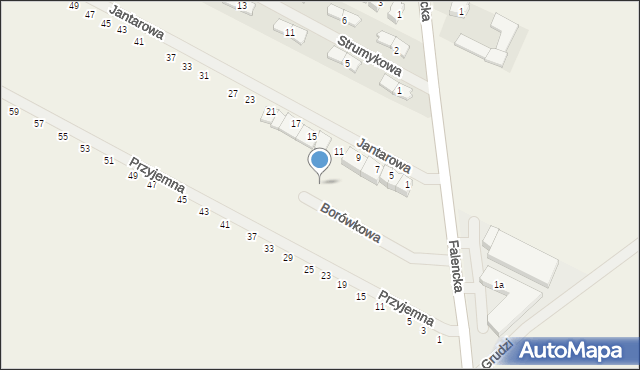Falenty Duże, Borówkowa, 12, mapa Falenty Duże
