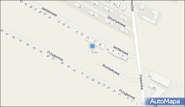 Falenty Duże, Borówkowa, 14, mapa Falenty Duże