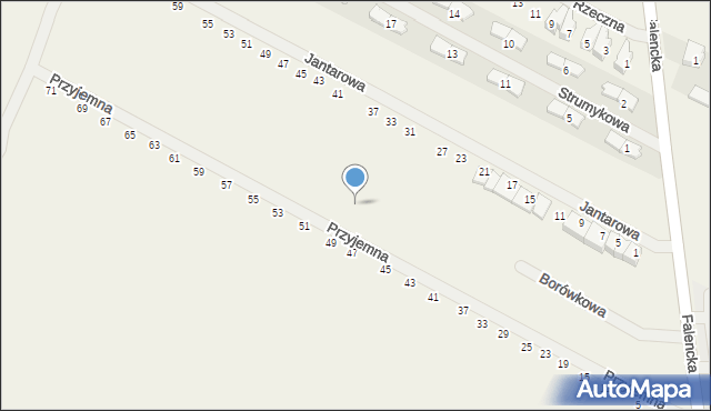 Falenty Duże, Borówkowa, 25, mapa Falenty Duże