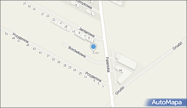 Falenty Duże, Borówkowa, 4, mapa Falenty Duże