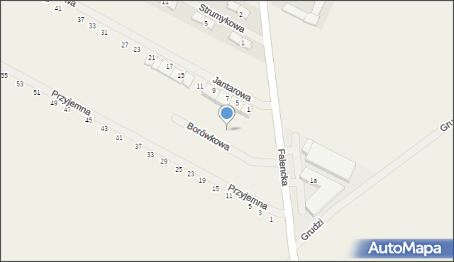 Falenty Duże, Borówkowa, 6, mapa Falenty Duże